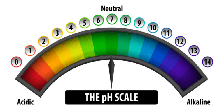 Complete Guide On How To Lower Alkalinity in a Pool - 2026