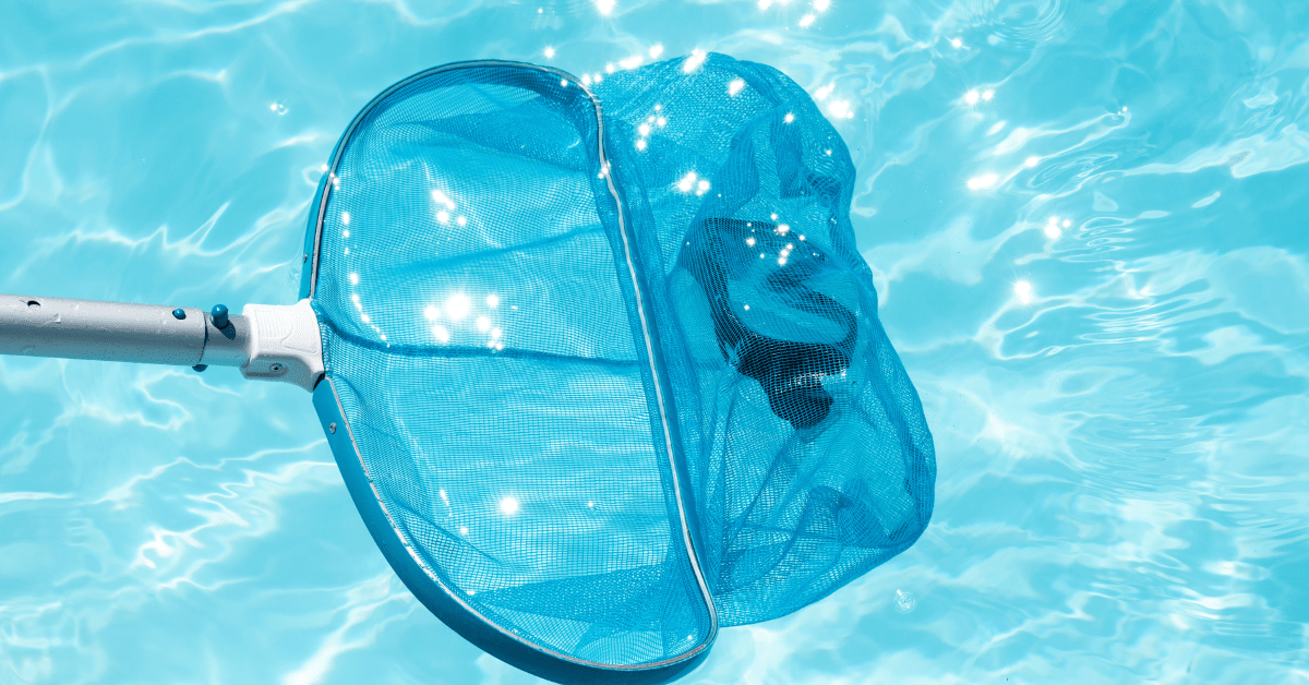 7 Best Pool Skimmer in 2024